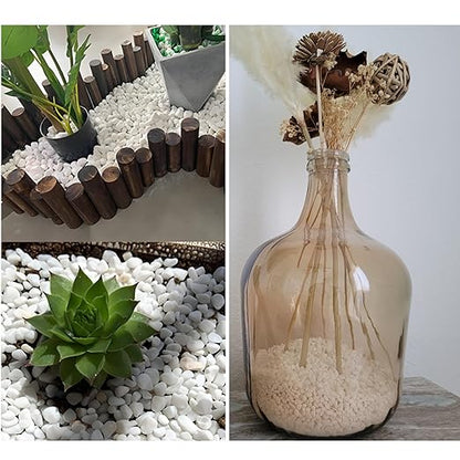 1LB Natural Gravel Pebbles, Cactus and Succulent Plants Pebbles, Small Decorative Polished Stones, White River Rocks for Potted Plants, Vases, Aquariums, Terrarium and Outdoor Gardening