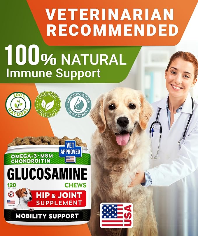 Glucosamine Treats for Dogs - Joint Supplement w/Omega-3 Fish Oil - Chondroitin, MSM - Advanced Mobility Chews - Joint Pain Relief - Hip & Joint Care - Hickory Bacon Flavor - 240 Ct - Made in USA