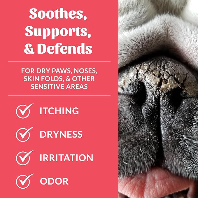 SKOUT'S HONOR Prebiotic Pet Balm - 100% Natural and Made w/Manuka Honey to Promote Healing of Your pet's paw Pads and Nose, Soothes Dry, Itchy Paws and Noses - Safe for Cats and Dogs, 2oz