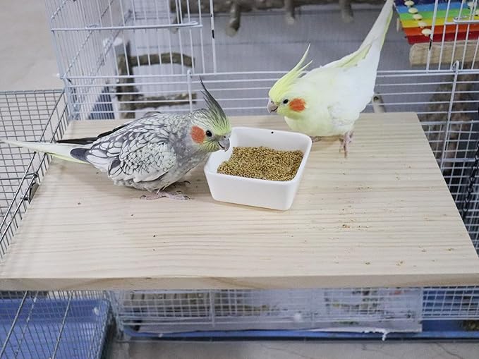 21.7 × 13.8 Inches Large Bird Perch Stand Platform, Natural Wooden Small Animals Cage Accessories, Rectangle Stand Perch Shelf for Parrot Parakeet Cockatiel Rat Hamster Guinea Pig Conure Chinchillas