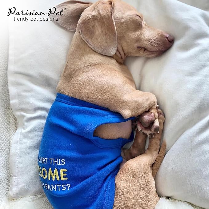 Parisian Pet Dog T-Shirt - Embroidered “ Awesome “ Dog Shirt - Pure Cotton and Lightweight Pet Clothes - Blue Sleeveless Pet Tee Shirts - Cute Puppy Clothes - Shirts for Small Dogs Boy - XS