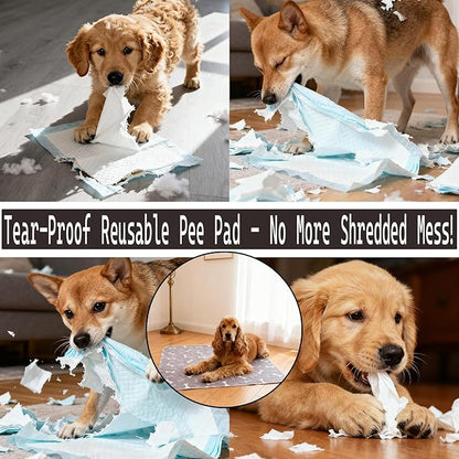 Puppy Pad with Pheromones, Puppy Pad Pee Pads, 100% Waterproof Reusable Washable Pee Pads for Dog & Cat, Absorbent/Leak-Proof/Anti-Slip Pet Training Pads (Coffee Brown, M:27.6×31.5"（Pack of 2）)