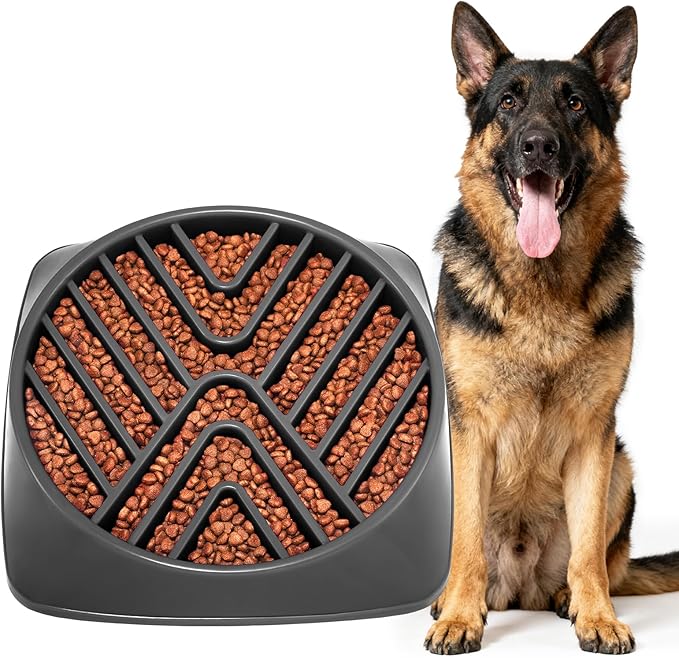 KASBAH Slow Feeder Dog Bowls Large Breed, Holds 5 Cups Wet or Dry Food for Large and Medium Dogs,Puzzle Maze for Fast Eaters,Square Base,Non-Slip, Made Without BPA,Helps Prevent Bloat & Aid Digestion