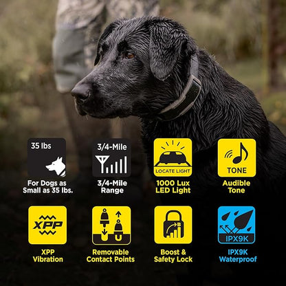 Dogtra 1900X E-Collar with Remote [New Edition] 35 lbs+, 3/4 Mile Range, LED Light, 100 Levels of Precise Control for Stubborn Dogs, Waterproof, Boost for Quick Recall, Vibration, Safety Lock & Tone