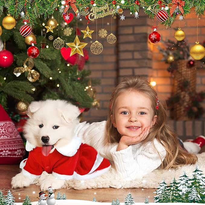 Christmas Dog Dress, Santa Claus Pet Clothes, Velvet Skirt Winter Outfit Red Apparel, Dog Xmas Holiday Cosplay Costume for Small Medium Puppies