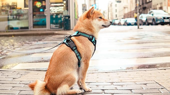 Ziggy Pet Dog Harness Adjustable Nylon Mesh Vest with Leash Clips (Blue, Large)