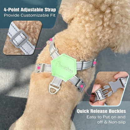Pawaboo Small Dog Harness and Leash Set, Puppy Harness X-Frame No Pull No Choke, Dog Vest Harness Adjustable for Small Medium Sized Dogs, Soft Breathable Pet Harness for Walking Outing, S, Mint Green