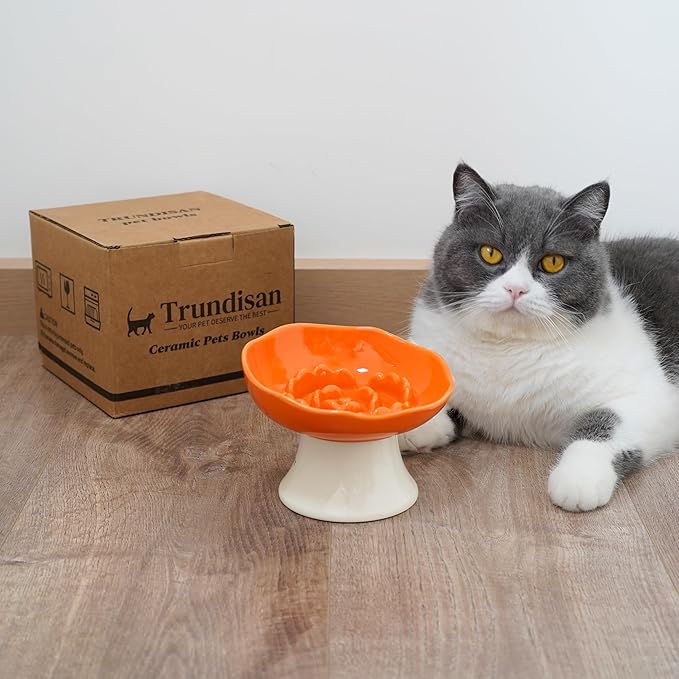 Ceramic Slow Feeder Bowl for Cats and Small Dogs, Elevated Tilted Pet Food Dish, Whisker Friendly Anti-Vomit Design, Heavy Stable Base, Dishwasher Safe， 5 Colors Options (Tangerine Orange)