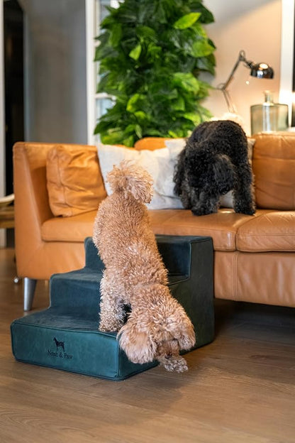 Noah & Paw Dog Stairs, Dog Ramp for Bed (16" Extra Wide) Pet Stairs for High Bed, Design to Fit Small and Large Breeds, Durable 3 Pet Steps for Couch (35 Foam Density) Leather Collection