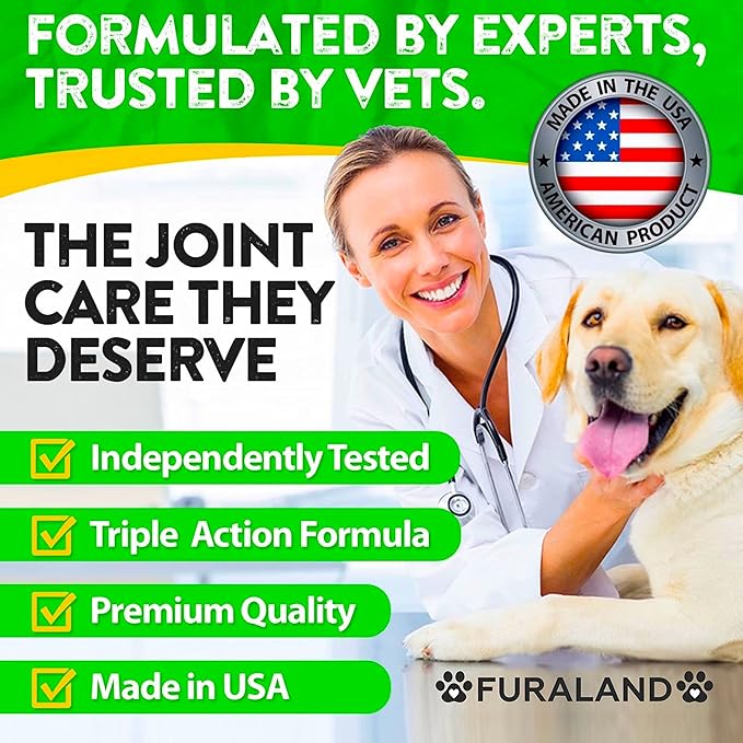 Hemp Hip and Joint Supplement for Dogs - Glucosamine for Dogs - 170 Dog Joint Pain Relief Treats - Chondroitin, Hemp Oil, MSM - Mobility & Flexibility Support - Advanced Care Health - Made in USA