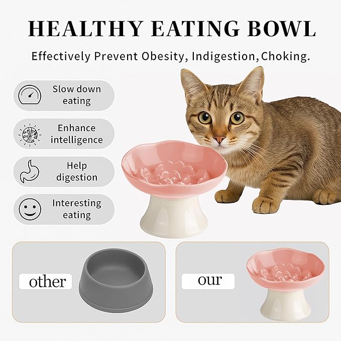 Ceramic Slow Feeder Bowl for Cats and Small Dogs, Elevated Tilted Pet Food Dish, Whisker Friendly Anti-Vomit Design, Heavy Stable Base, Dishwasher Safe， 5 Colors Options (Blush Pink)