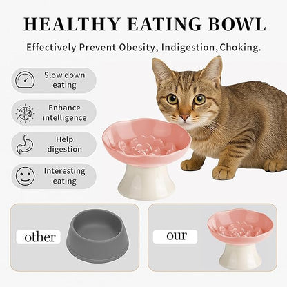 Ceramic Slow Feeder Bowl for Cats and Small Dogs, Elevated Tilted Pet Food Dish, Whisker Friendly Anti-Vomit Design, Heavy Stable Base, Dishwasher Safe， 5 Colors Options (Blush Pink)