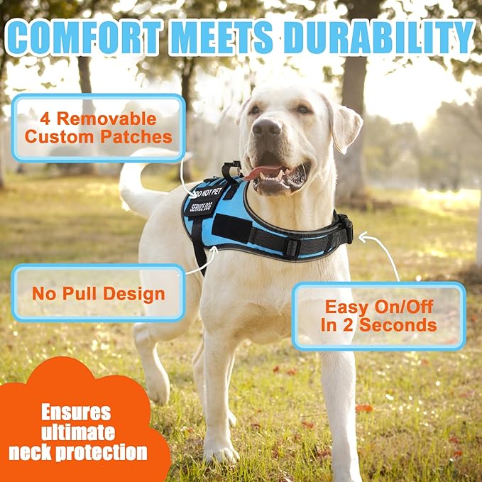 No Pull Dog Harness Small Medium Sized Dog, Service Dog Harness and Leash Set with 4 Patches, Adjustable Easy Walk Dogs Harnesses with Handle, Dogs Vest Harnesses French Bulldog, Chihuahua(Blue, M)