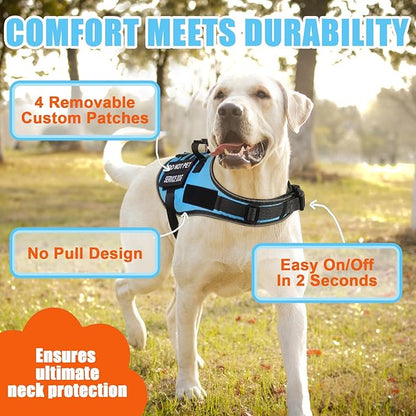 No Pull Dog Harness Small Medium Sized Dog, Service Dog Harness and Leash Set with 4 Patches, Adjustable Easy Walk Dogs Harnesses with Handle, Dogs Vest Harnesses French Bulldog, Chihuahua(Blue, M)