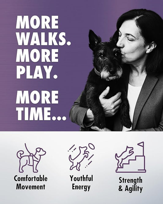 Health Direct – RenuVite 4 Dogs | Hip & Joint Supplement for Senior Dogs | Supports Mobility & Energy | Anivestin, Collagen, Aronia Berry, DHEA | 20-120 Servings, 60 Capsules