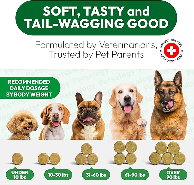 Dog Allergy Relief Chews - 170 Dog Allergy Chews - Itch Relief for Dogs - Omega 3 Fish Oil, Probiotics for Itchy Skin & Hot Spots Allergies, Paw Licking - Dry Skin & Coat Supplement - Immune Health