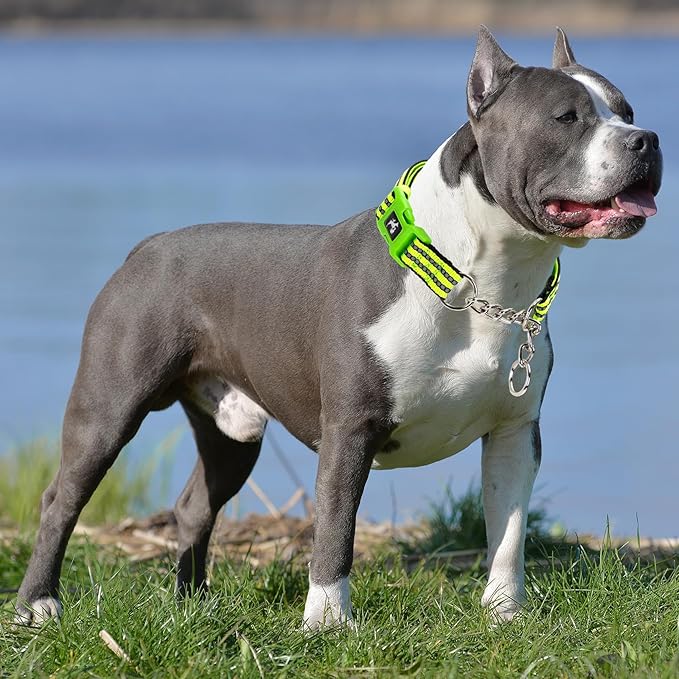 Green Reflective Martingale Dog Collar with Buckle- Night-Safe, Anti-Slip Training Collar Designed for Secure Walks - Large