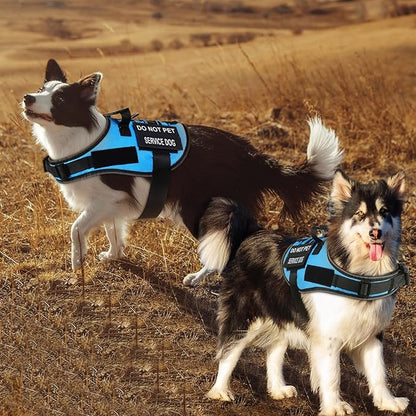 No Pull Dog Harness Small Medium Sized Dog, Service Dog Harness and Leash Set with 4 Patches, Adjustable Easy Walk Dogs Harnesses with Handle, Dogs Vest Harnesses French Bulldog, Chihuahua(Blue, M)