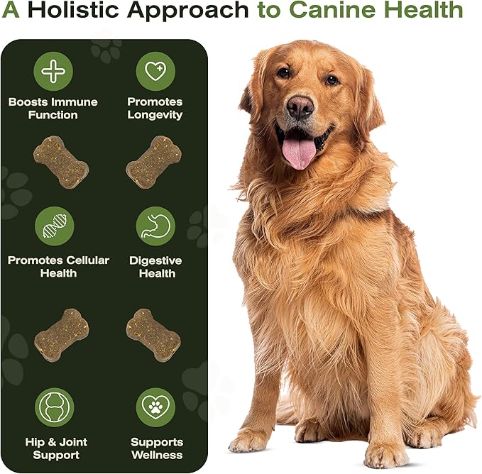 The Vet's Dog Immune Support DNA Defense Chews, Dog Allergy and Immune Chews + Hip and Joint Supplement for Dogs, Organic Turkey Tail Mushroom, Turmeric, Barley Grass, Chicken Liver Flavor (30 Count)