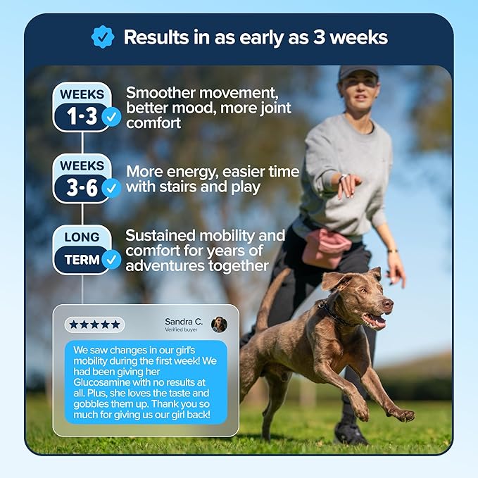 PupFlex+ Hip and Joint Supplement Dogs, Vet Created Soft Chews with UC-II® Collagen for Dogs, CurcuVET® & Omega 3, Proven More Effective Than Glucosamine Chondroitin, Dog Joint Supplement (60 ct)