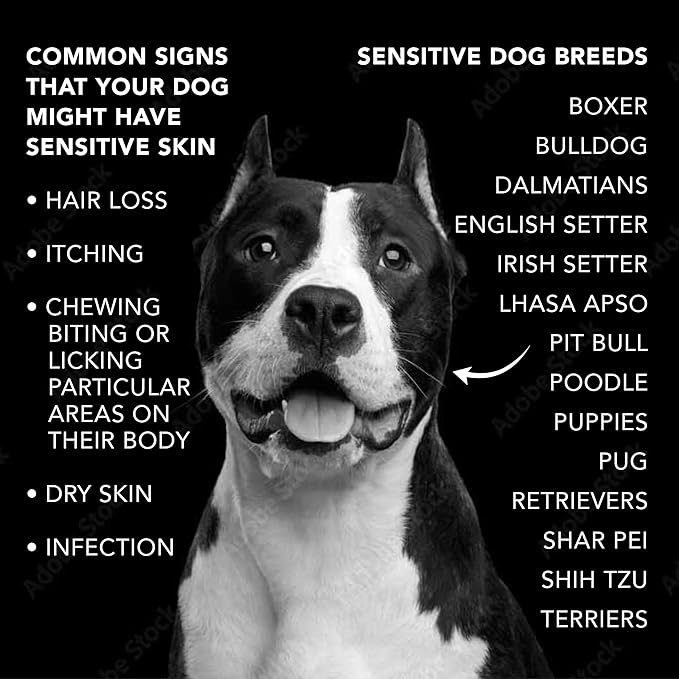 Pride and Groom The Sensitive One | Dog Grooming Shampoo for Puppies and Dogs with Itchy, Dry Skin| Tearless All Natural Body Wash with Essential Oils to Soothe Skin – 16oz (Pack of 2)