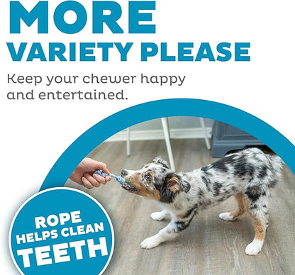 Outward Hound Mini Dentachew Dental Dog Chew Toy - 3 Pack - Great Size for Small Dogs and Puppies