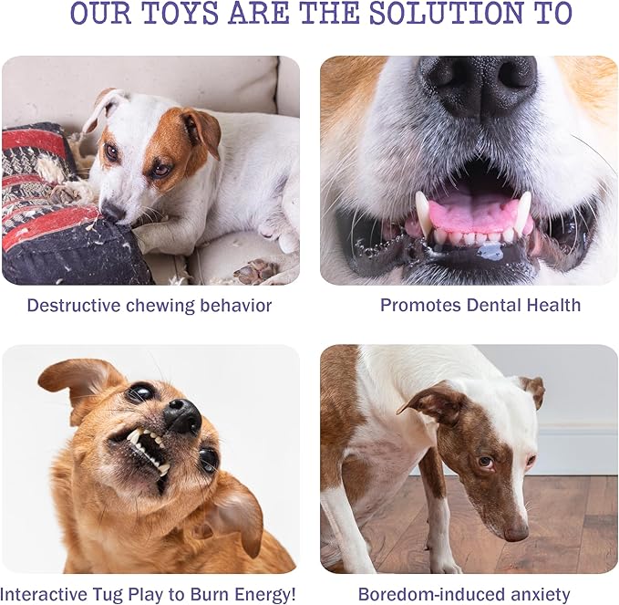 No-Stuffing Bunny Squeaky Dog Toy, Cute Plush Puppy Teething Toy to Keep Them Busy, Rabbit Interactive Tug of War & Dental Chew for Small Medium Large Dogs