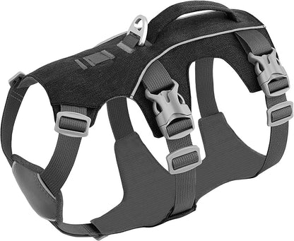 Escape Proof Dog Harness with Handle - Reflective No Pull Dog Vest, Lightweight Full Body Pet Harness Adjustable for Small Dogs Walking,Training(Black,Chest:14-22")
