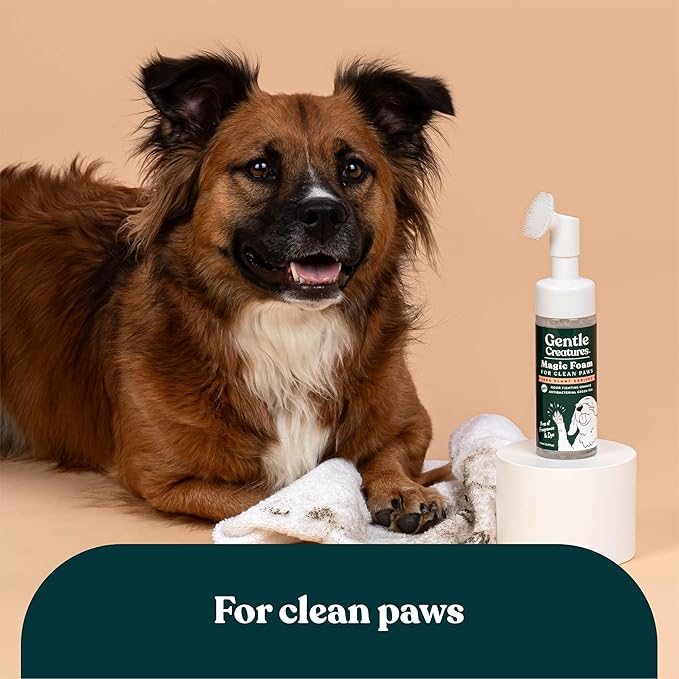 GENTLE CREATURES Magic Foam - Refill - Sulfate-Free, Waterless Shampoo Paw Cleaner for Dogs, Cats, Pets - Dry Shampoo, Foot Cleaner Brush - with Orange, Odor Control Wash - Good for Puppy