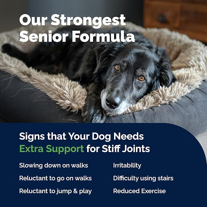 YuMOVE Hip & Joint Supplement for Senior Dogs with Max Strength Glucosamine Chondroitin, Omega 3, Hyaluronic Acid, Green Lipped Mussel, & Fish Oil for Dogs - 120 Chewable Tablets