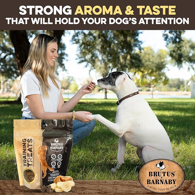 BRUTUS & BARNABY Sweet Potato (8oz) + Training Treats for Dogs (8oz)