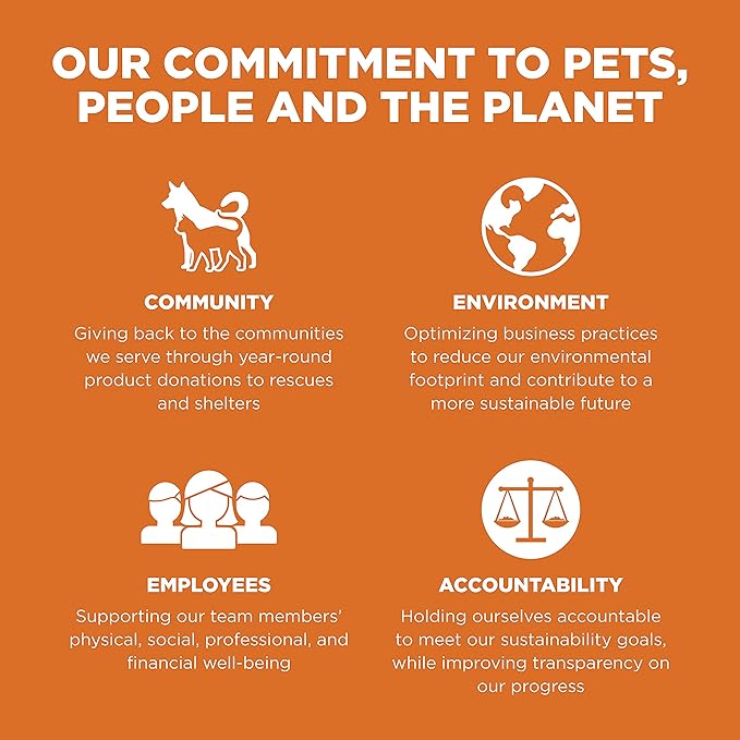 Go! Solutions Skin + Coat Care, Dry Dog Food, Salmon Recipe with Grains, 12 lb Bag