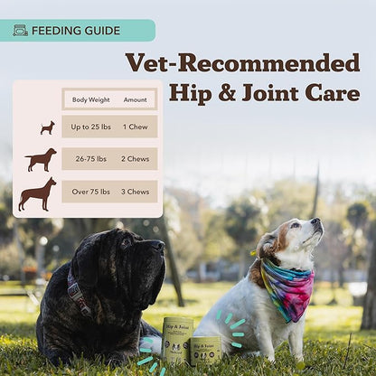 Natural Dog Company Hip & Joint Chews for Dogs with Glucosamine for Dogs + Chondroitin, MSM & Turmeric, Supports Mobility & Reduces Discomfort, Stiffness, Natural Pain Relief Joint Supplement. 180 Ct