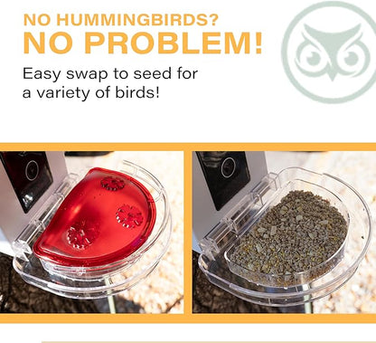 Quick Setup Smart Solar Hummingbird Feeder with Camera 1080P 2MP High-Def and WiFi AI Bird Identification Birdfeeder, Ant Guard Moat, Squirrel Alarm, Removeable Tray, Identifies 10,000+ Birds