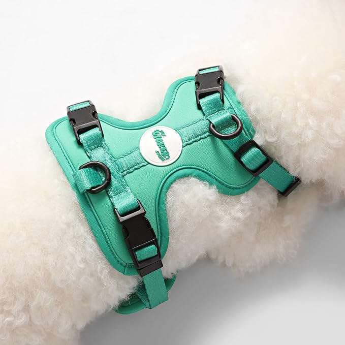 HNS1001K Arlo Small Adjustable Soft Padded No Pull Pet Harness with 3 Buckles and 3 Leash Clips, Julep