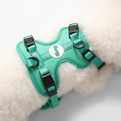 HNS1001K Arlo Small Adjustable Soft Padded No Pull Pet Harness with 3 Buckles and 3 Leash Clips, Julep