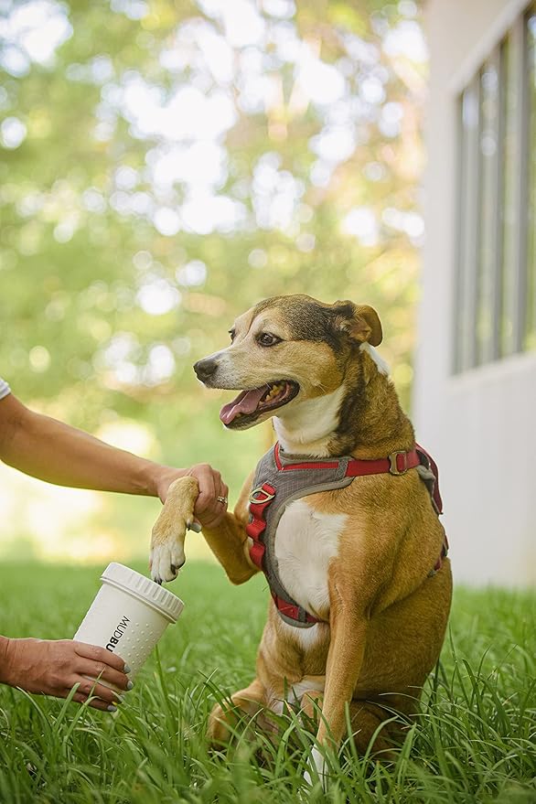 Dexas MudBuster Portable Dog Paw Cleaner, Medium, Bright White Special Edition, Premium Pet Supplies and Accessories (Pack of 6)