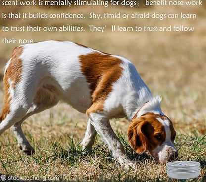 CHENGXINWENHUA Dog skent Work tins 6 Pack，Dog Scent Training Box，Dogs Nose Work containers (1, 4 Jars+6 Magnetic Box)