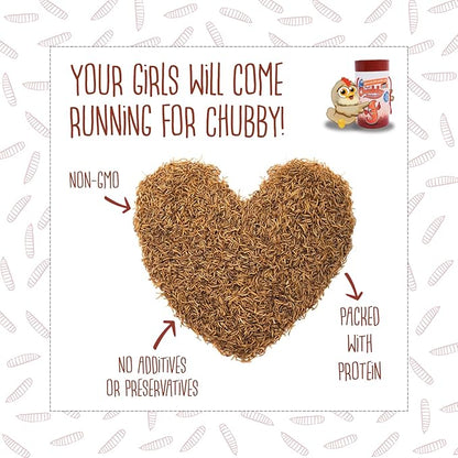 Chubby Dried Mealworms | 5 lbs | High-Protein Non-GMO Treats for Chickens, Ducks, Wild Birds & Backyard Pets