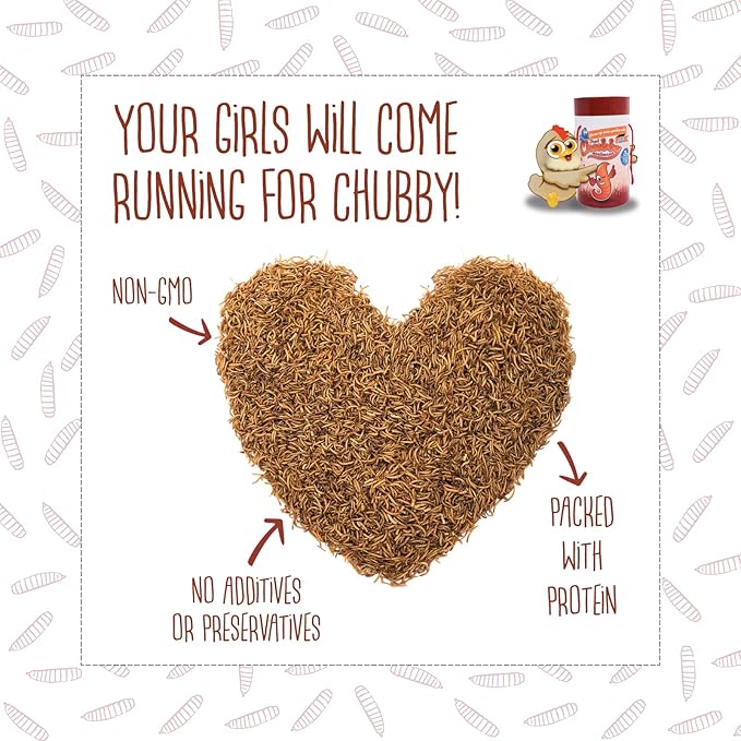 Chubby Dried Mealworms | 2 lbs | High-Protein Non-GMO Treats for Chickens, Ducks, Wild Birds & Backyard Pets