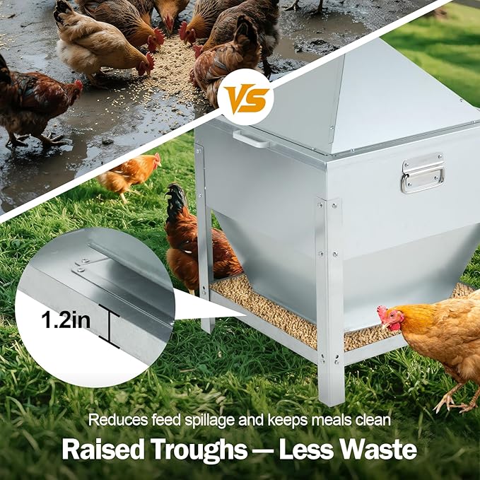 Automatic Chicken Feeder 80LBS, Galvanized Metal Gravity Feeder with 4-Sided Troughs, Waterproof Locking Lid, No Waste Poultry Feeder for Backyard Coops, Free-Range & Small Farms