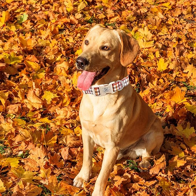 Elegant little tail Dog Collar with Leash, Fall Plaid Pet Collar Leash Adjustable Collar for Small Medium Large Dogs Soft Puppy Collars with Quick Release Buckle Girl Boy Dog Collars