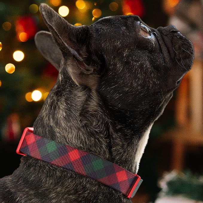 Pawtitas Soft Adjustable Puppy Collar Leash Harness Sold Separately Personalized Customizable Dog Collar Embroidered Customize Pet Name Phone Number Christmas Dog Collar Medium Gift Wrap