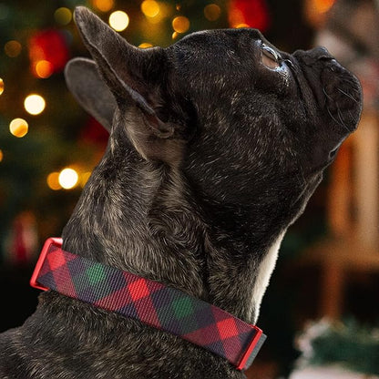 Pawtitas Soft Adjustable Puppy Collar Leash Harness Sold Separately Personalized Customizable Dog Collar Embroidered Customize Pet Name Phone Number Christmas Dog Collar Medium Gift Wrap