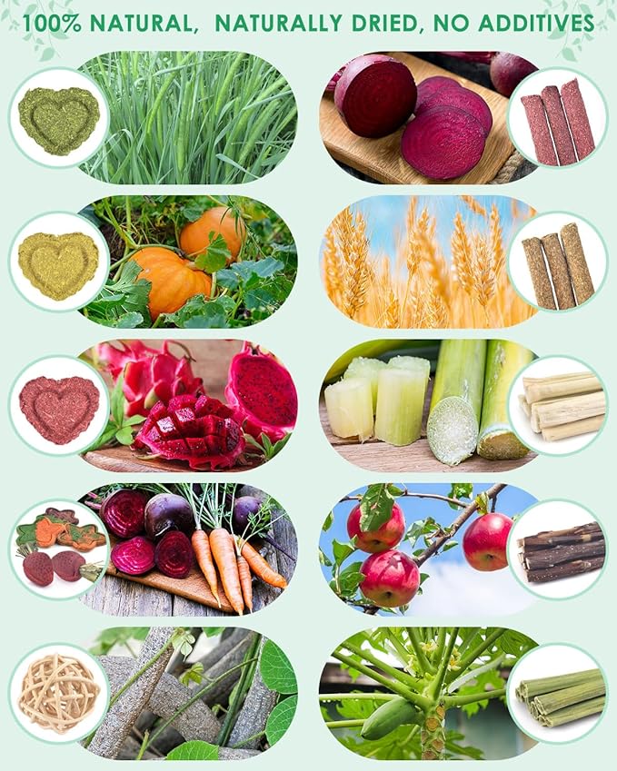 ERKOON 53 Bunny Chew Toys for Rabbits Teeth, Natural Rabbit Toys Apple Wood Sticks, Carrot, Timothy Grass for Small Pets, Hamster, Chinchilla, Guinea Pig Dental Care and Treat Teething(53)