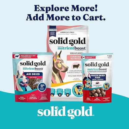 Solid Gold High Protein Wet Dog Food for Large Dogs & Small Dogs - Soft Grain Free Canned Dog Food w/Real Beef, Prebiotics & Superfoods for Gut Health & Immune Support - All Ages - 6ct 13.2oz Cans