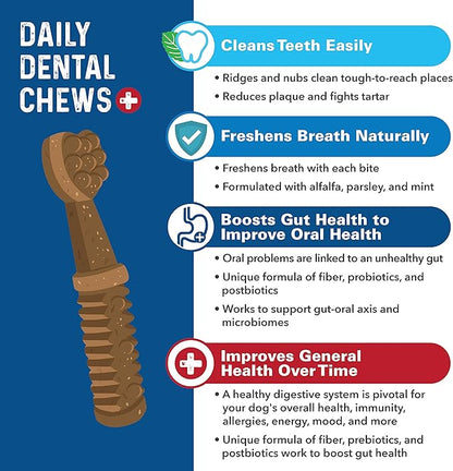Bernie's Charming Chompers - Daily Dental Chews for Dogs 26-50 Lbs. - 36 Count - Cleans Teeth, Freshens Breath, + Boosts Oral-Gut Microbiome. Easy to Digest, Supports Healthy Digestion Naturally
