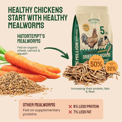 Hatortempt Dried Mealworms - Non-GMO & Organic - High-Protein Mealworms for Wild Bird Food, Ducks & Chickens (5lb)