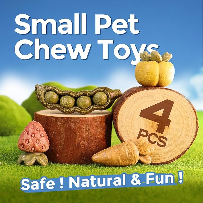 TEEWY 4PCS Guinea Pig Toys, Hamster Chew Toys, Natural Plant-Based Guinea Pig, Hamster, Rat & Chinchilla Toys for Teeth Grinding and Play