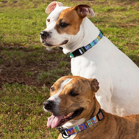 Pawtitas Personalized Dog Collar LargeDog Collar Embroider Name Phone Number Puppy Collar Adjustable Customized Collar for Large Dogs Breeds Multicolor Dog Collar